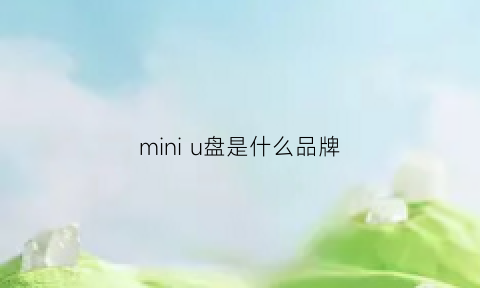 miniu盘是什么品牌(迷你u盘有什么缺点吗)